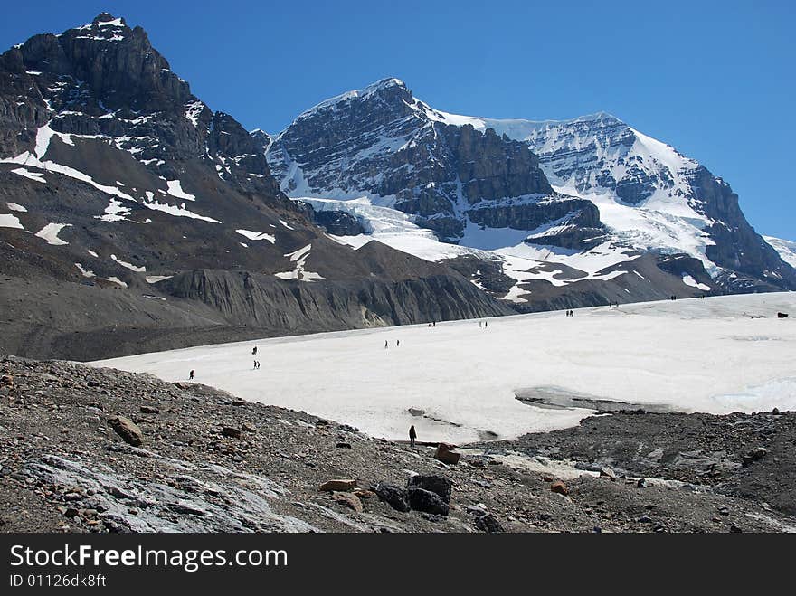 Snow mountain near Columbia Glacier in Rockies Icefield National Park