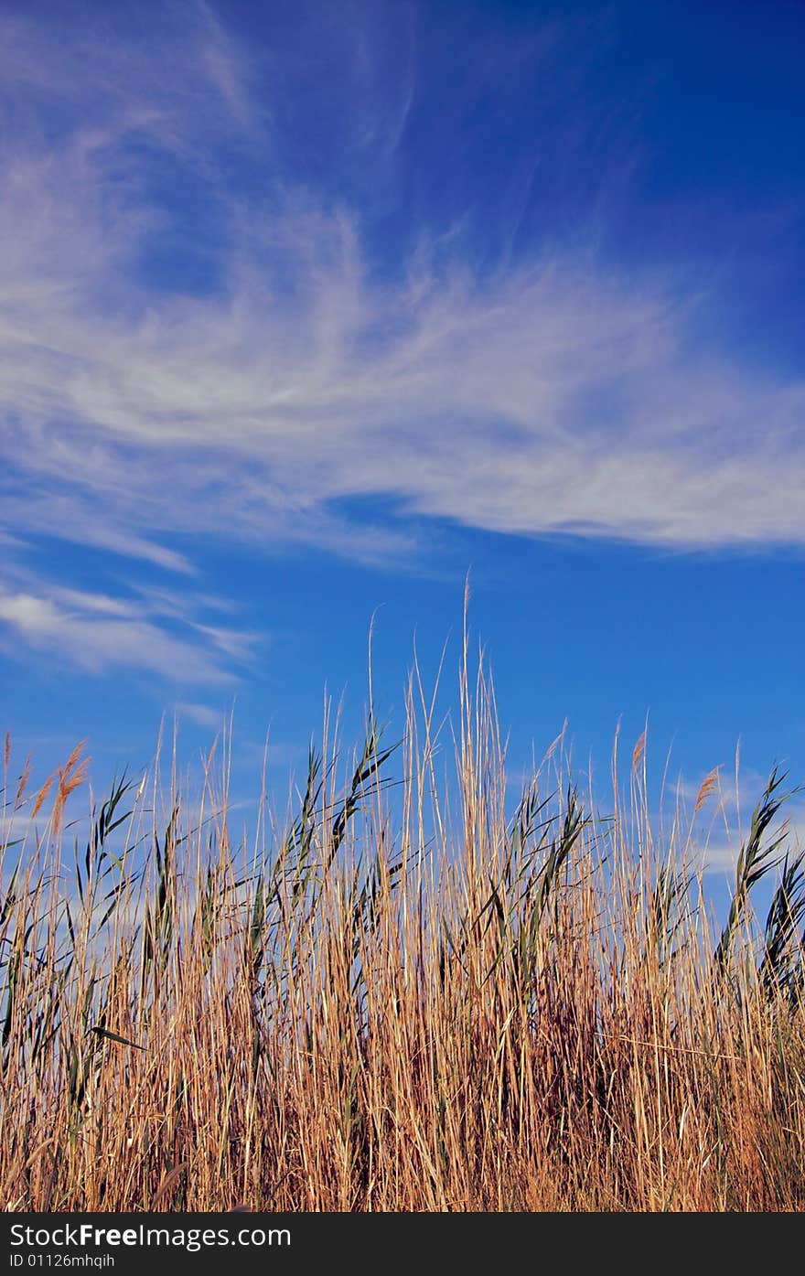 The gentle breeze shapes the clouds of the Siwa desert. The gentle breeze shapes the clouds of the Siwa desert.