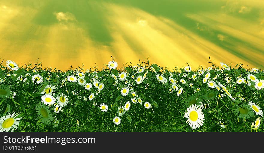 Beautiful field of flowers in the god rays. Beautiful field of flowers in the god rays