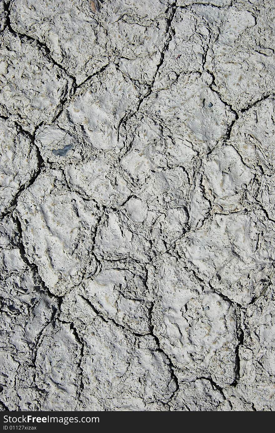 Cracked earth due to lack of water. Cracked earth due to lack of water