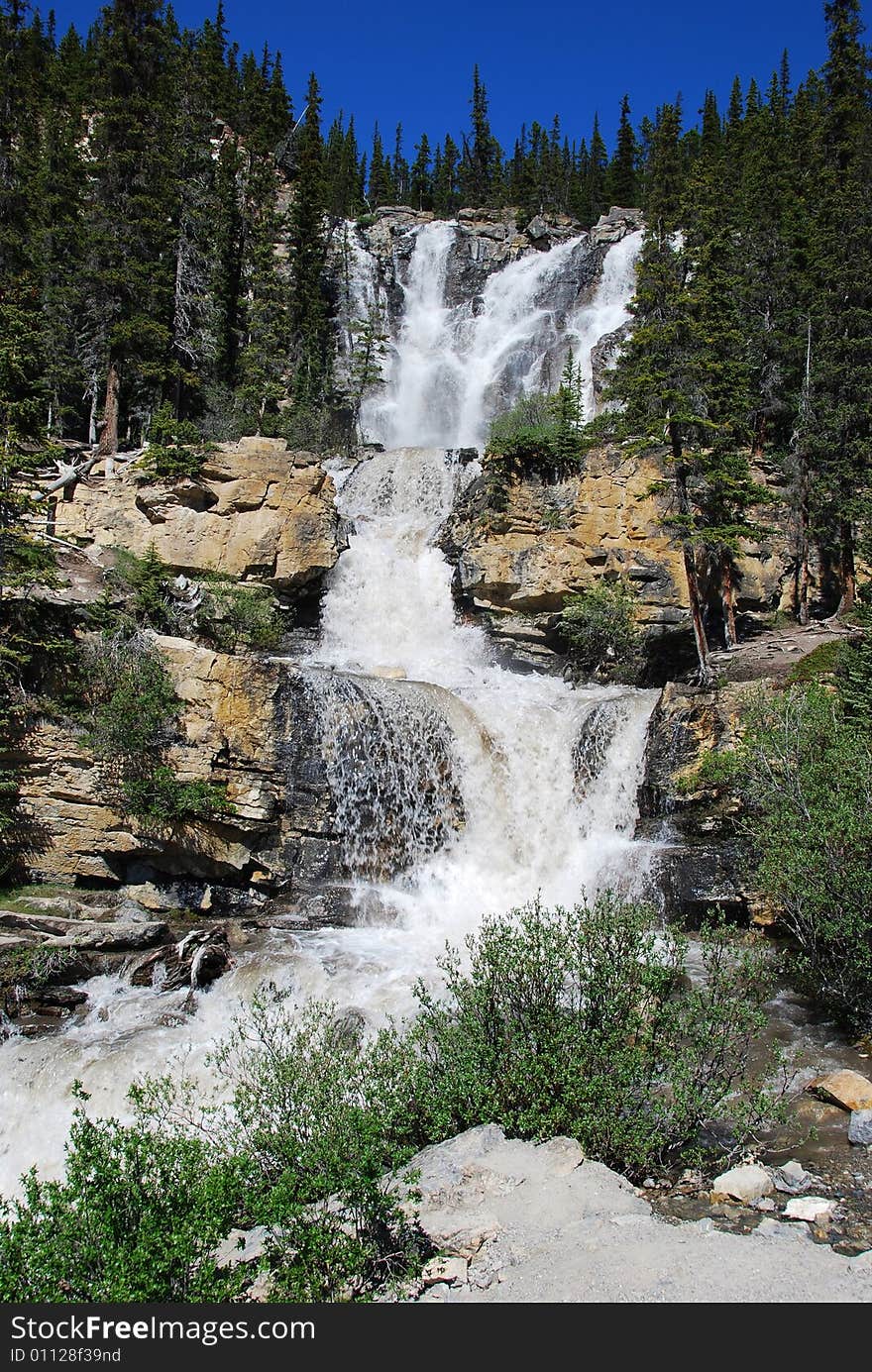 A Fall on the roadside near Magline Lake in Jasper National Park Alberta Canada. A Fall on the roadside near Magline Lake in Jasper National Park Alberta Canada