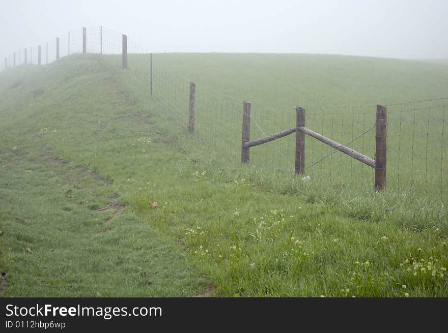 Fence posts disappearing into the mist