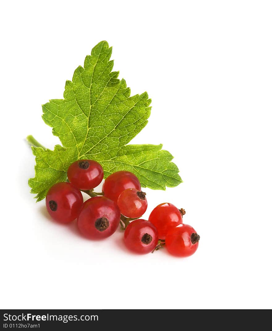 Brush of a red currant isolated on a white background