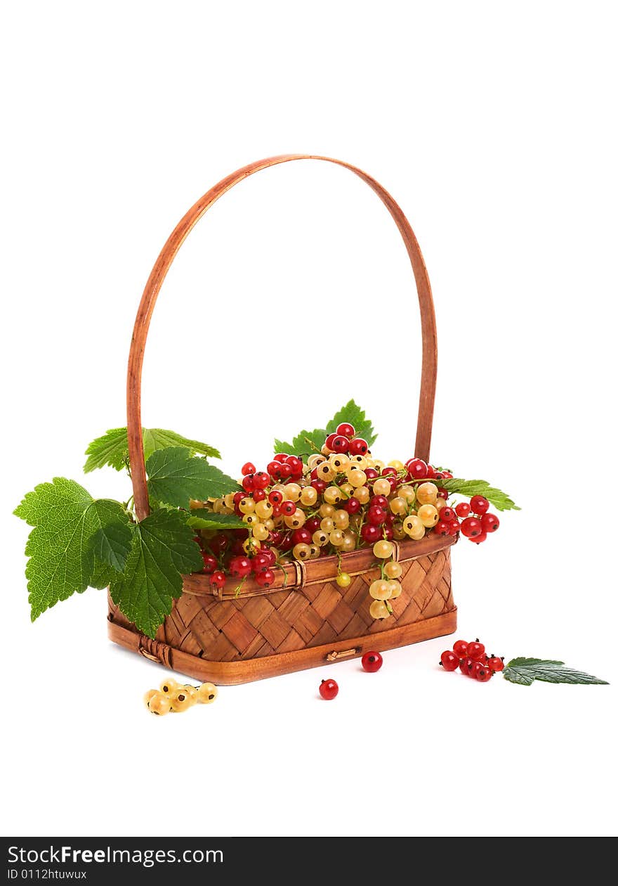 Basket with a currant