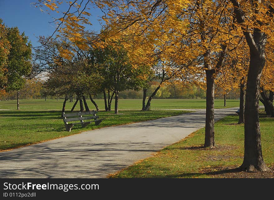 Autumn park with an alley and benches. Colorful leaves, green grass and blue sky.