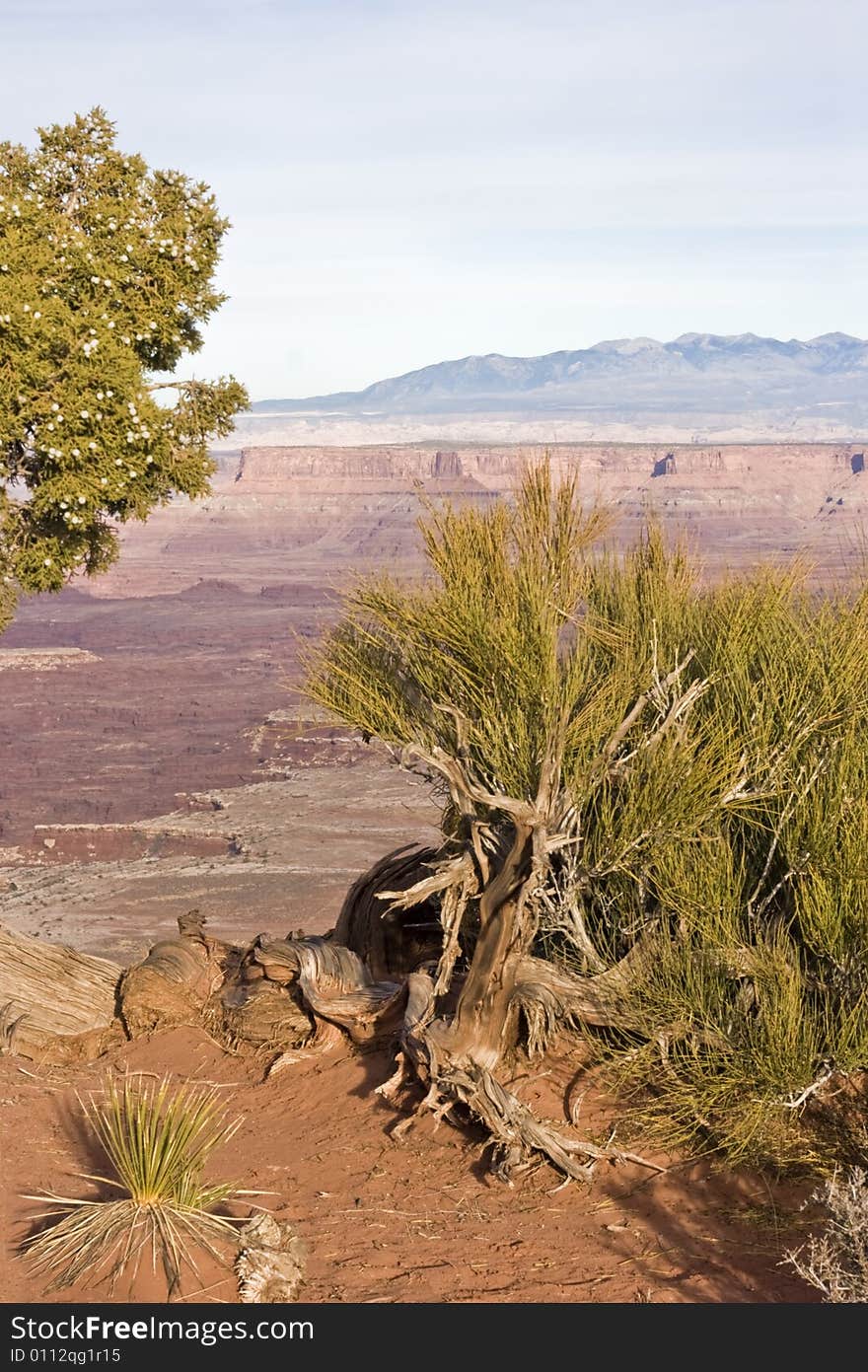 Landscape in Canyonlands National Park