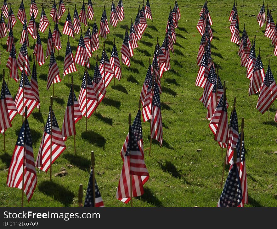 American Flags to mark those killed on Sept, 11, 2001