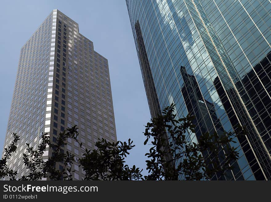 Two skyscraper buildings with tree branches in front. Two skyscraper buildings with tree branches in front