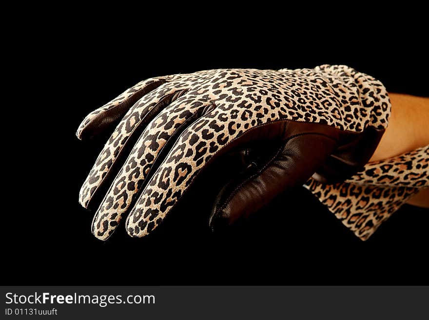 Female hand in a beautiful glove