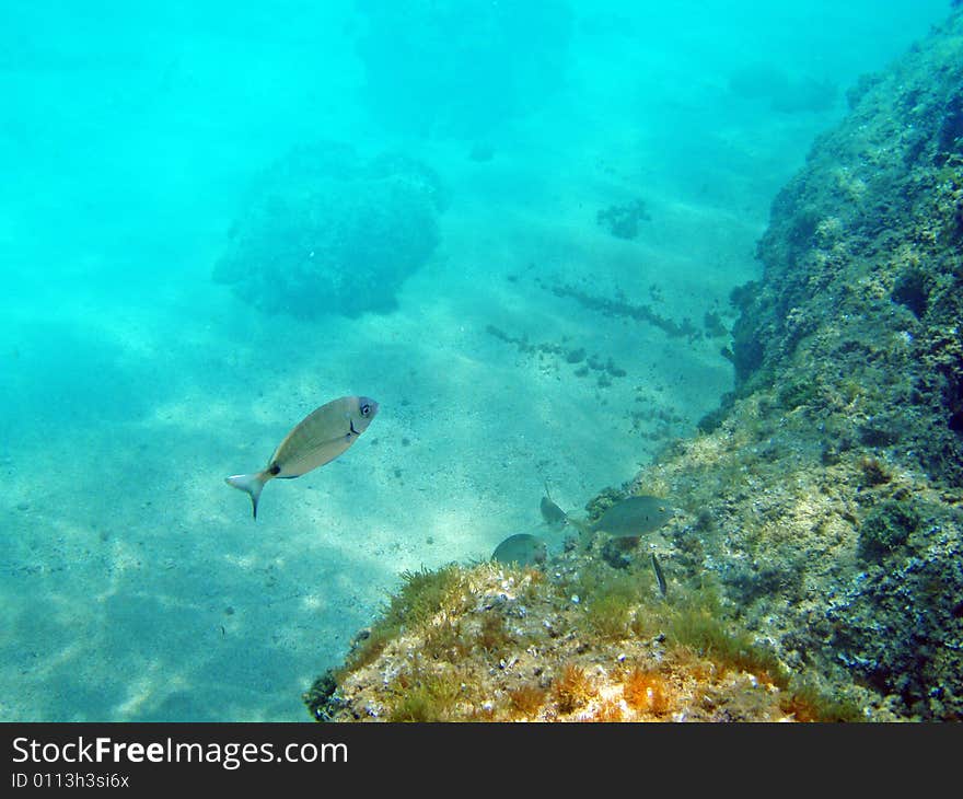 Deep water of Mediterranean sea. Deep water of Mediterranean sea