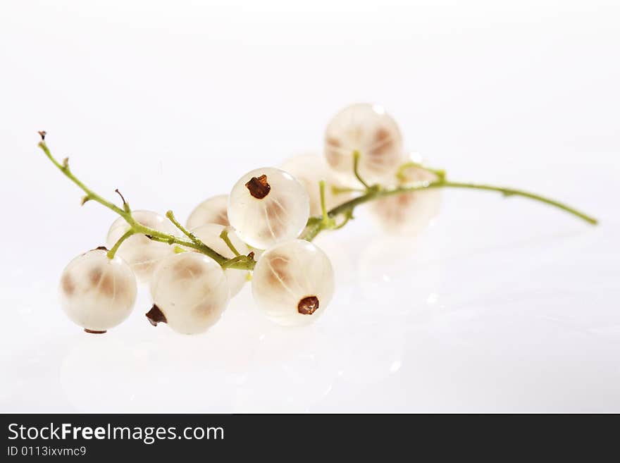 White currant