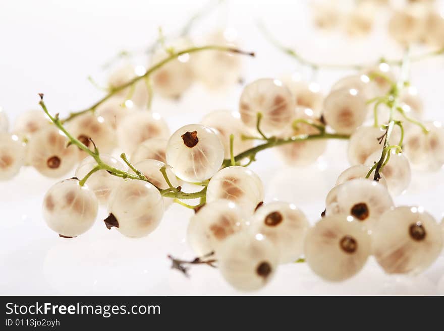 White currant