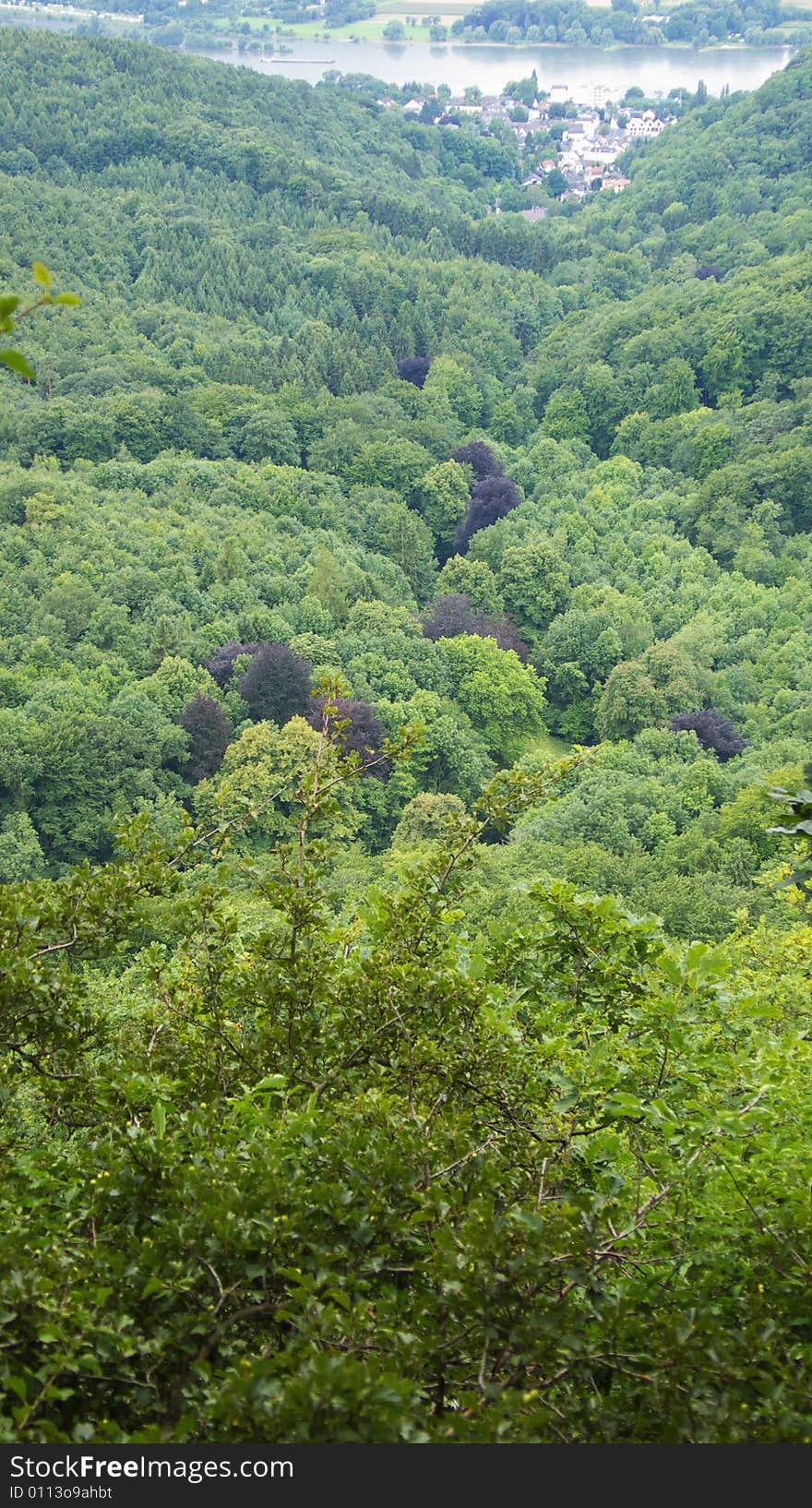 Part of the Rhine Valley in Germany seen from the Siebengebirge (Seven Mountains)