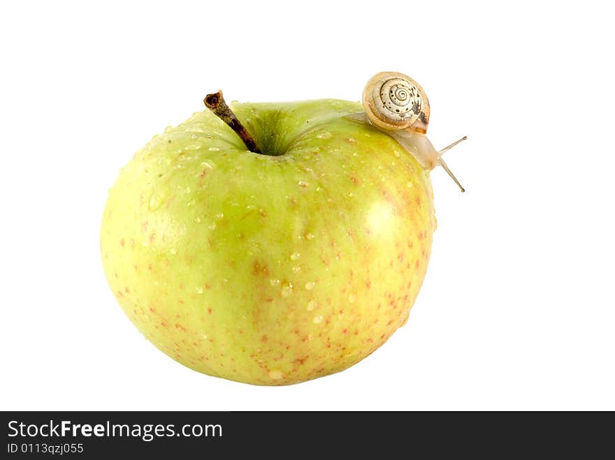 The snail crawl on green apple. The snail crawl on green apple