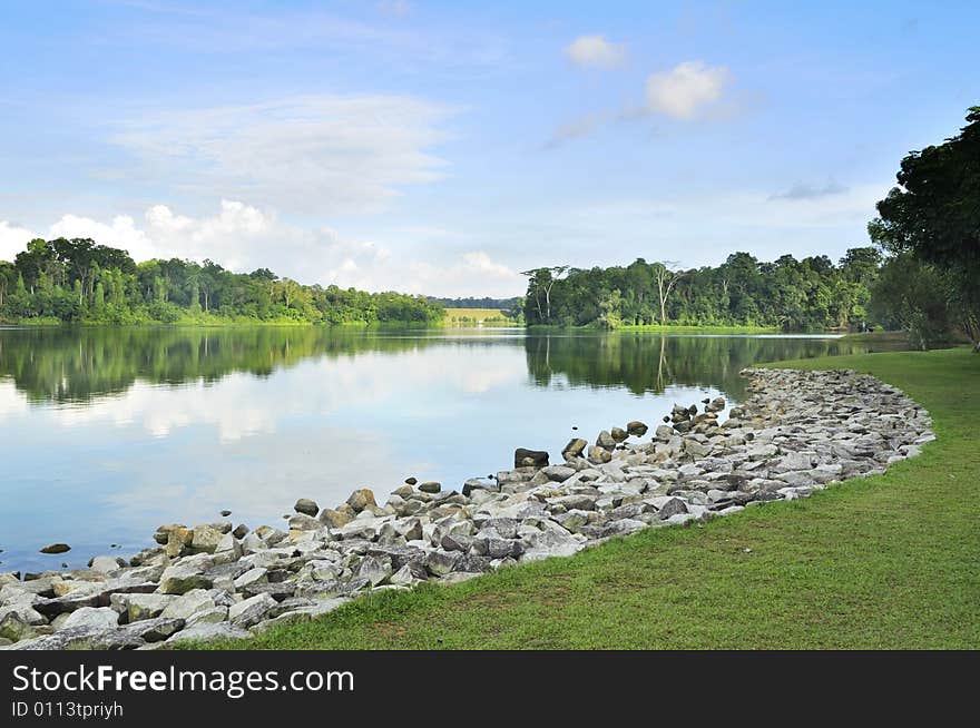 Landscape in the park