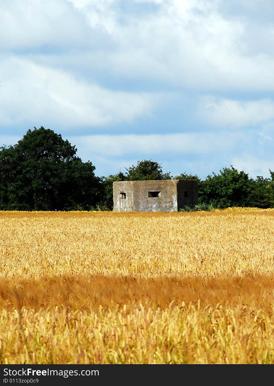 Shot of an old war bunker in a corn field. Shot of an old war bunker in a corn field