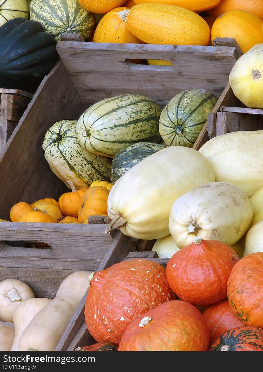 Pumpkins and squashes in wooden boxes at the market