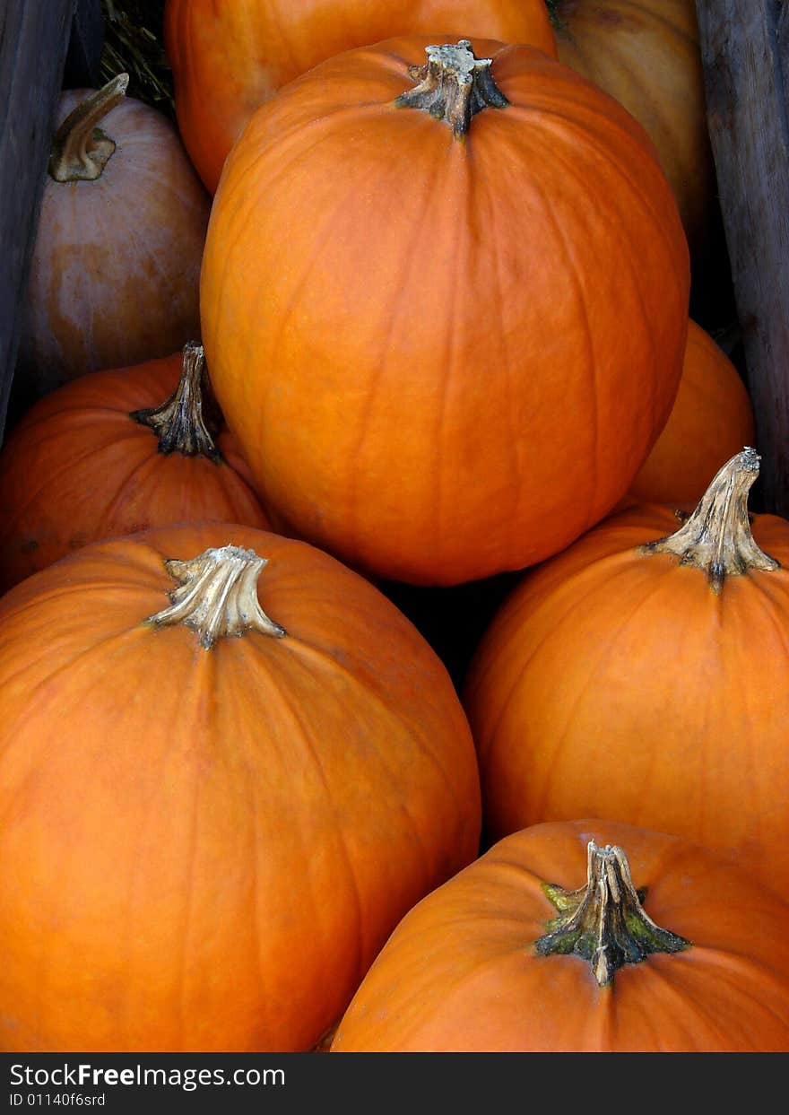 Pumpkins piled up in a wooden box. Pumpkins piled up in a wooden box