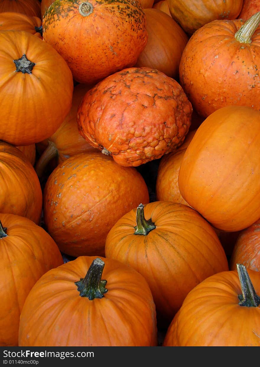 Close-up of small pumpkins in an autumn scene