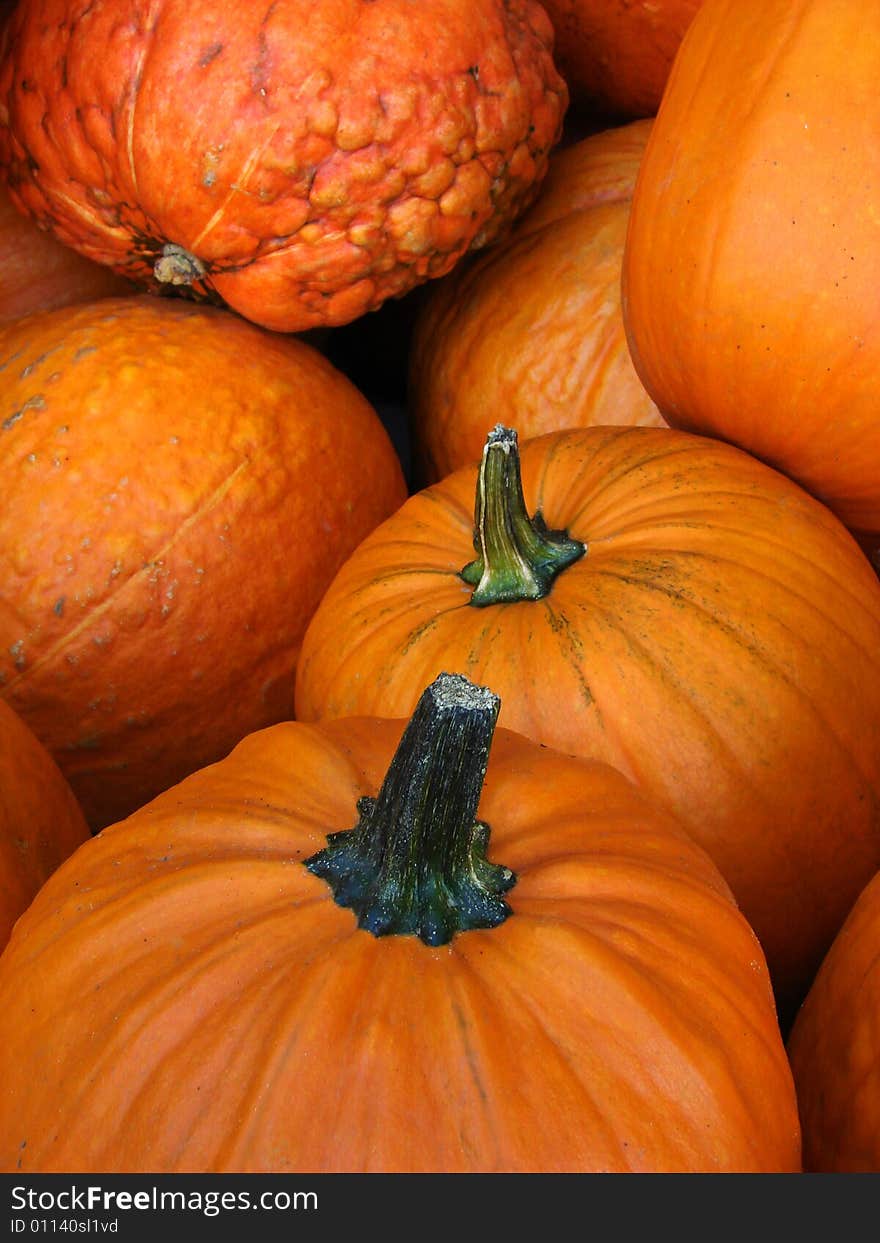 Close-up of small pumpkins in an autumn scene. Close-up of small pumpkins in an autumn scene