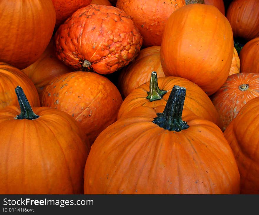 Close-up of small pumpkins in an autumn scene