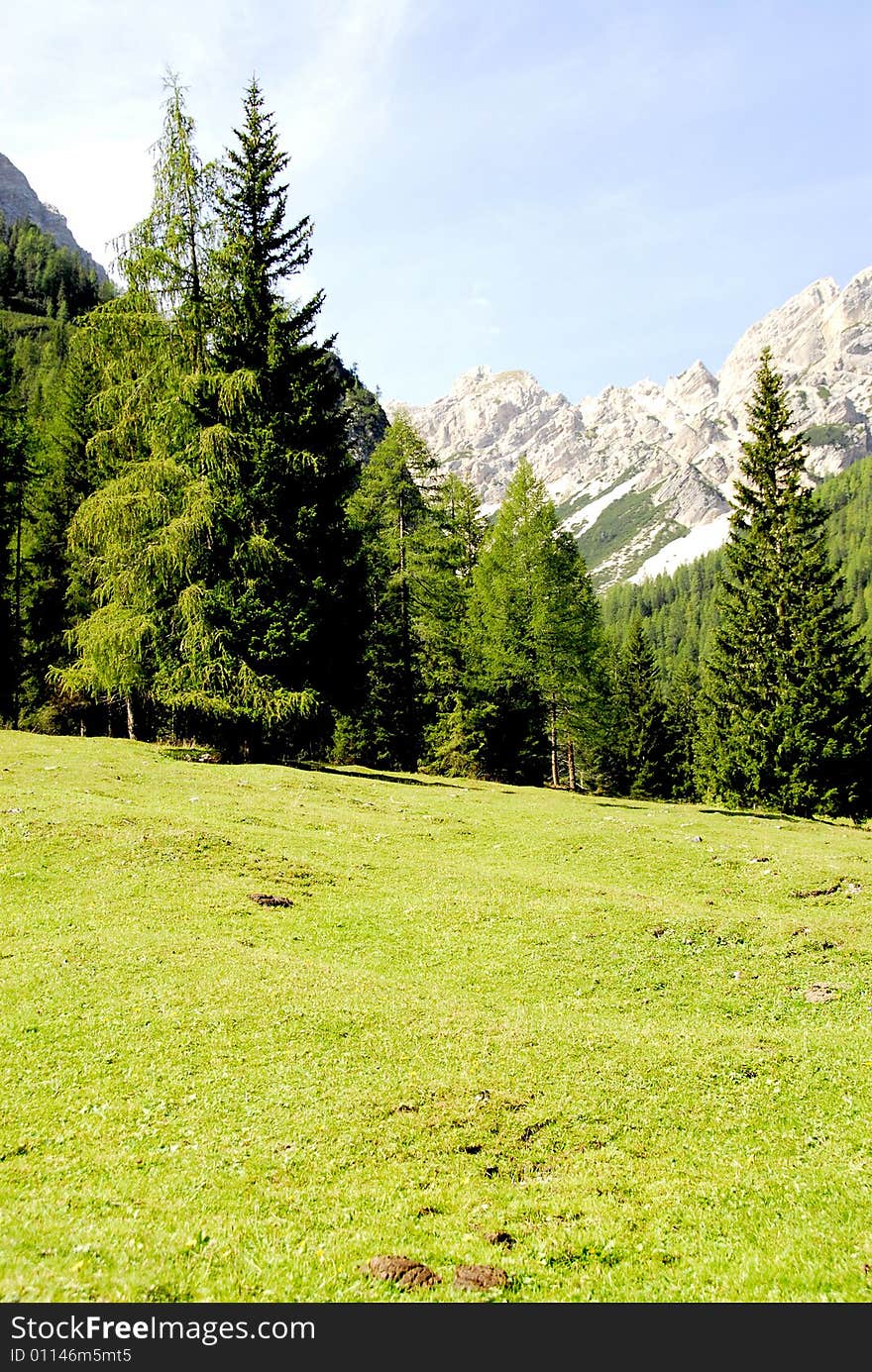 Dolomiti