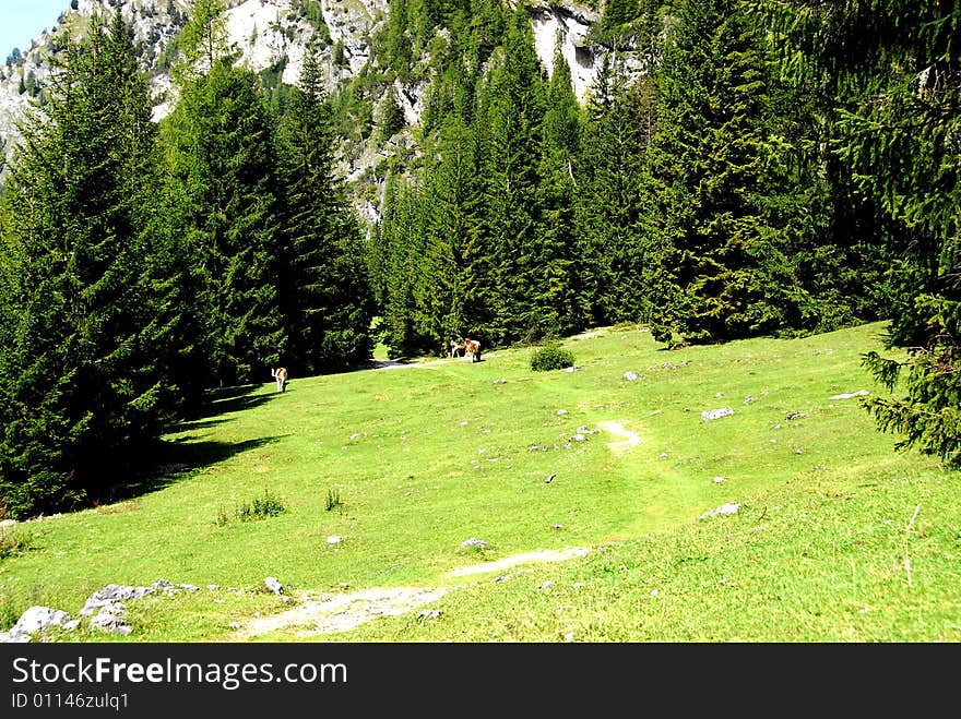 Dolomiti