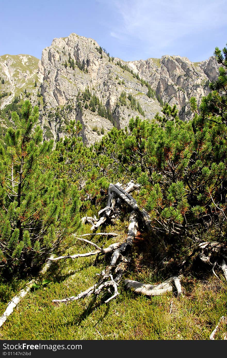 Valley in the Dolomites mountain in italy. Valley in the Dolomites mountain in italy