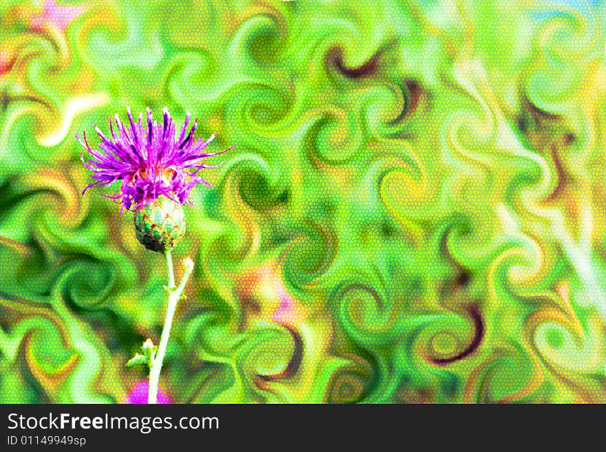 Abstract scene with varicoloured background and field flower. Abstract scene with varicoloured background and field flower