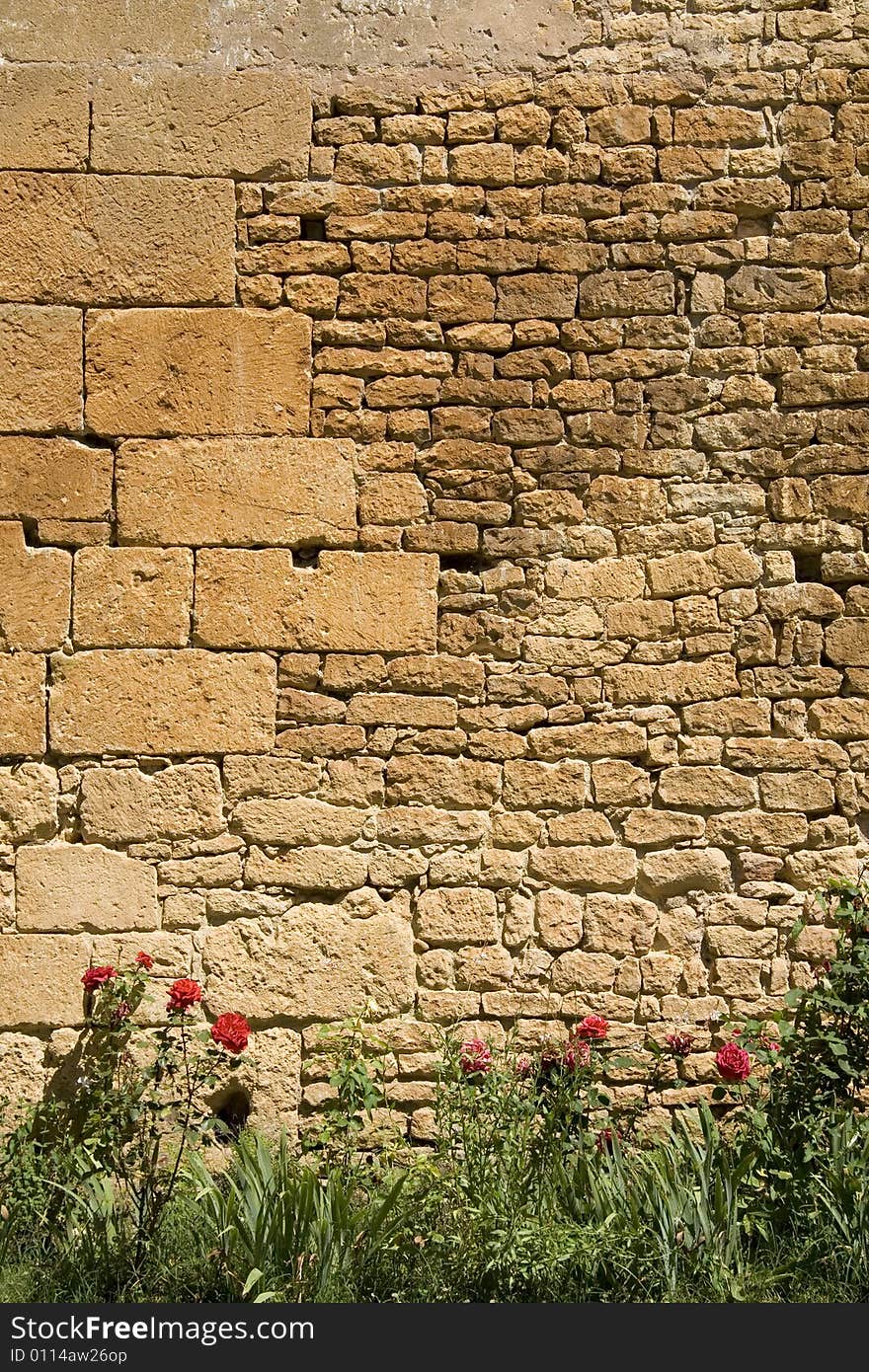 Old wall with red roses