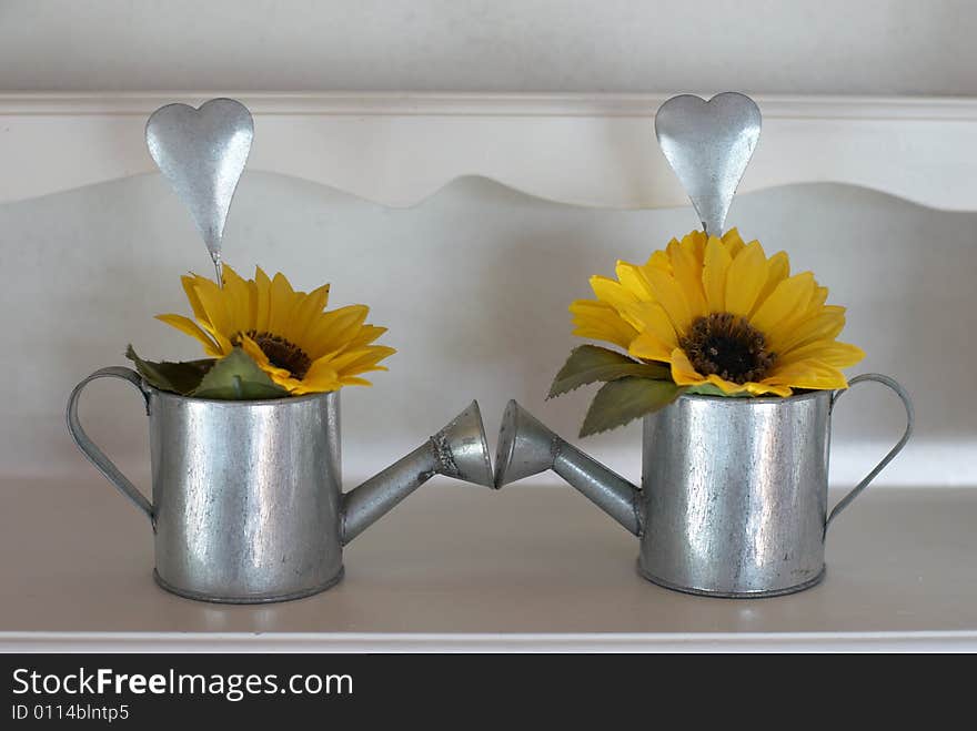 Two watering pots with love on light background