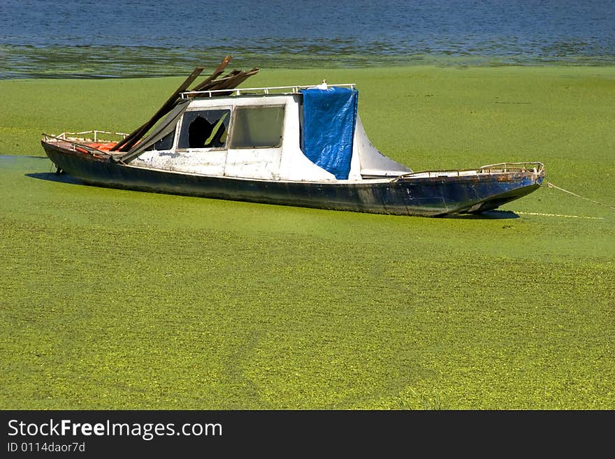 Boat In Green Desert