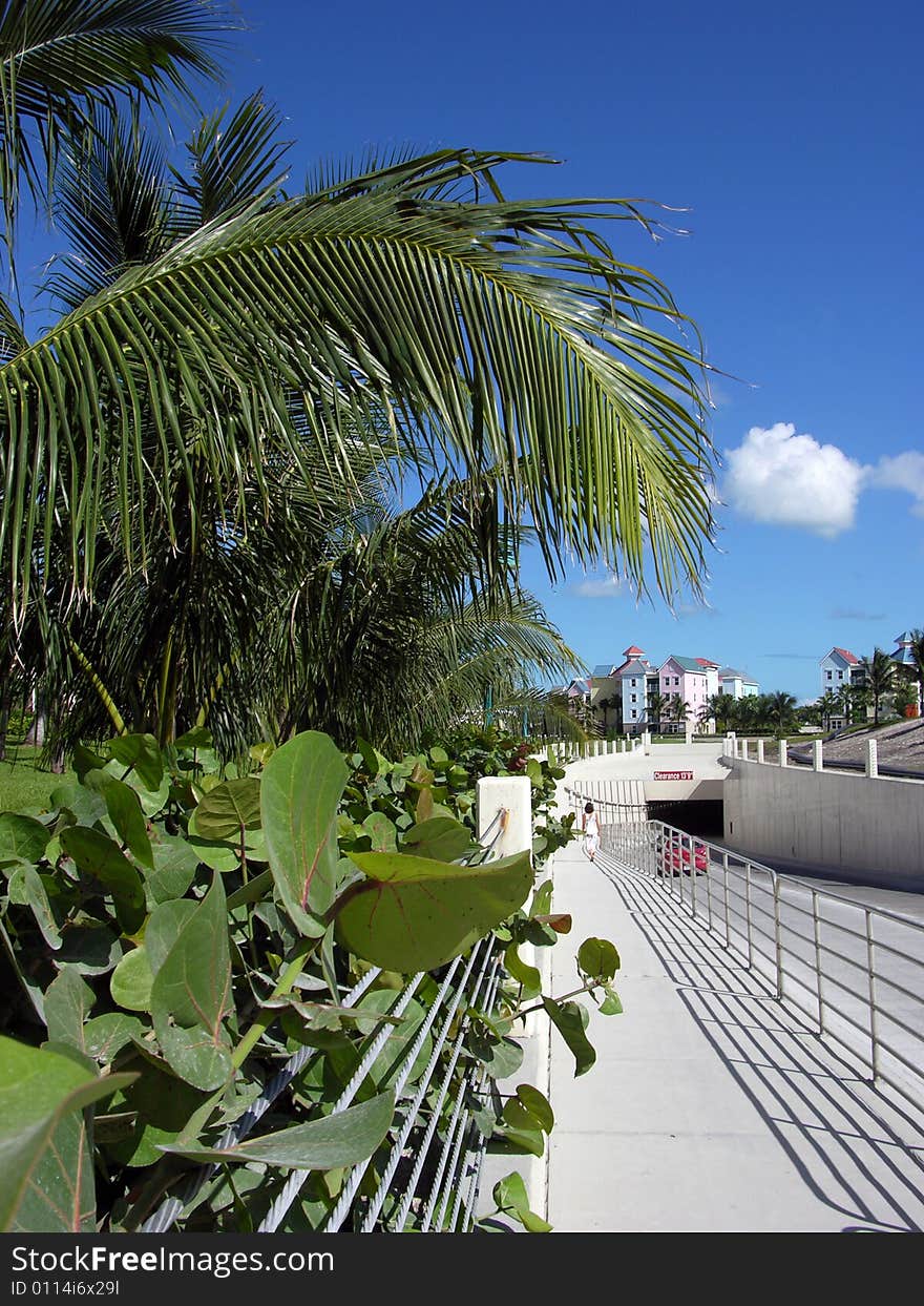 Paradise Island Tunnel