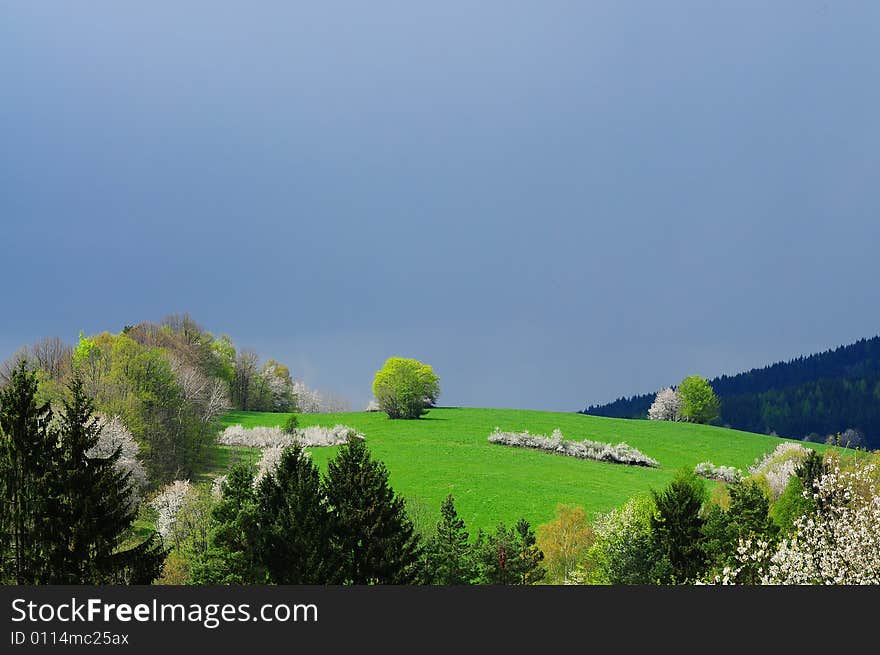 Hill in Wallachia in spring