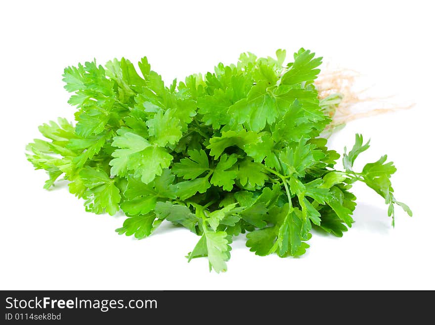 Bouquet Of Parsley