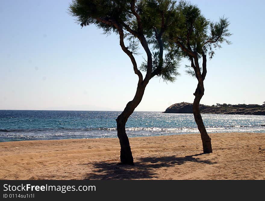 Two trees along the beach in Greece. Two trees along the beach in Greece.