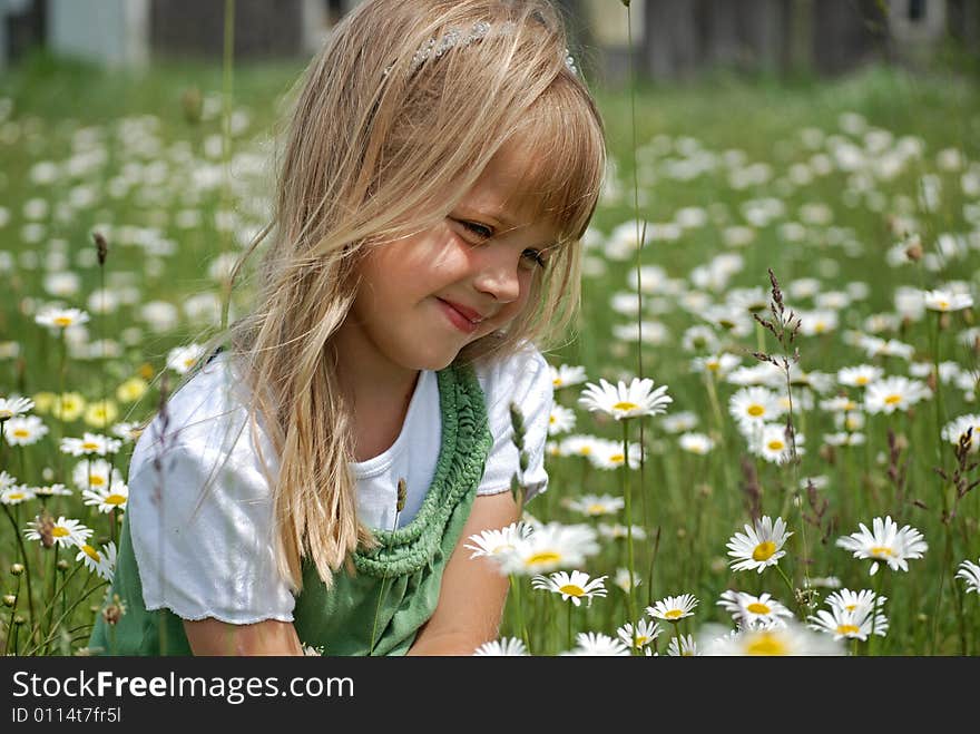 Little girl in the miidle of a daisy field. Little girl in the miidle of a daisy field.