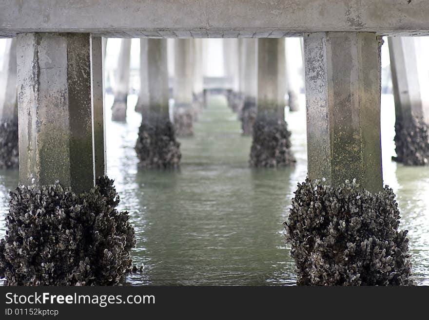 Bridge Underside