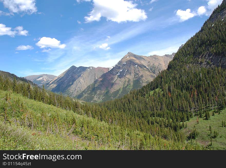 Forests And Mountains