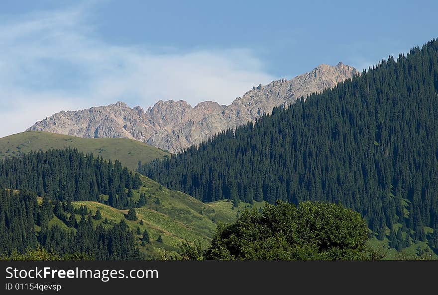 Mountains With Green Forest