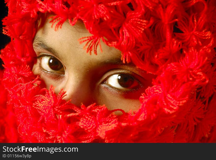 A Indian woman covered by the woolen shawl. A Indian woman covered by the woolen shawl.