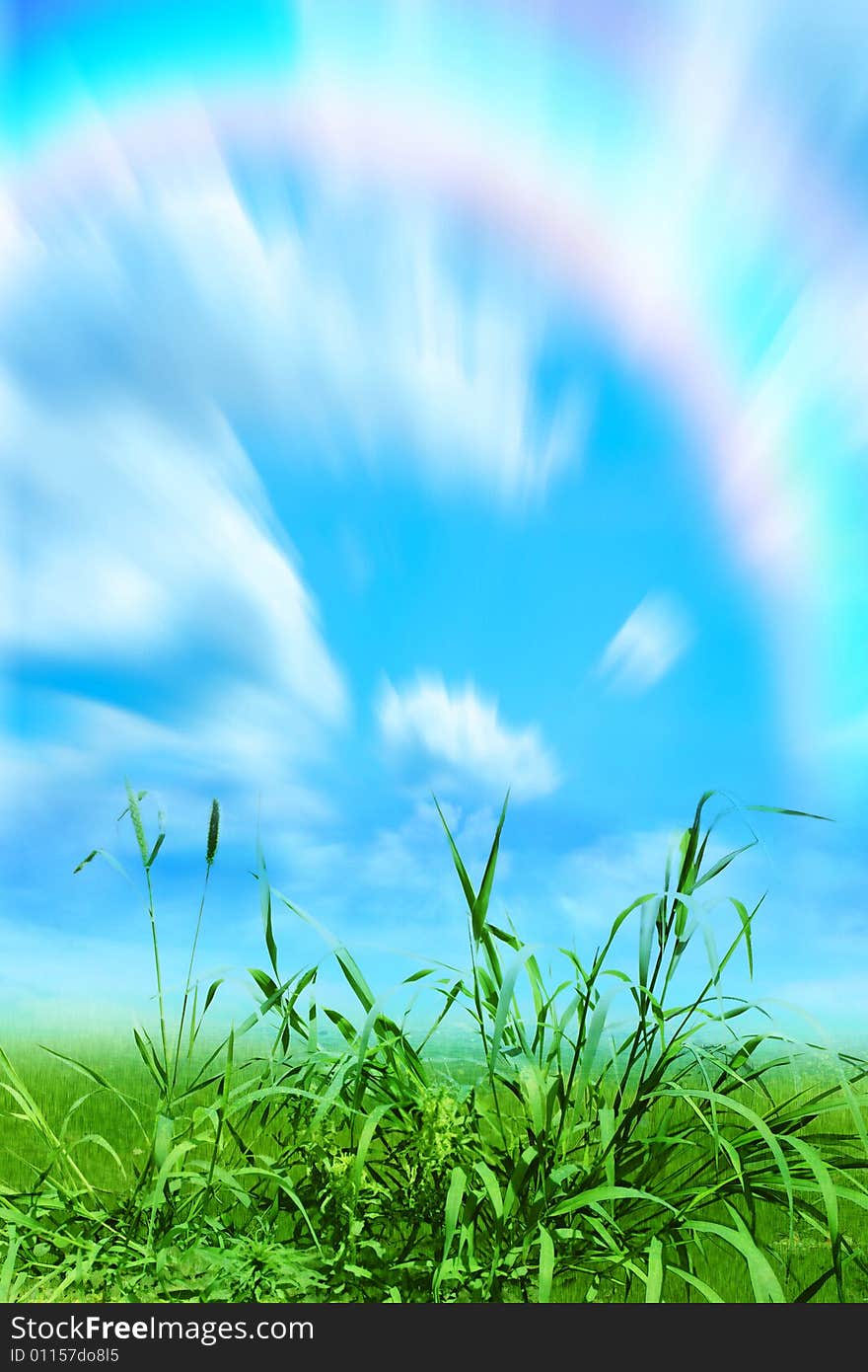 Beautiful green herb on background blue sky and cloud. Beautiful green herb on background blue sky and cloud