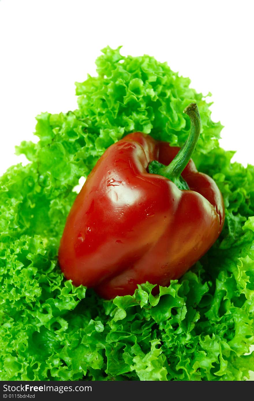 Salad Leaves with Red Pepper. Salad Leaves with Red Pepper