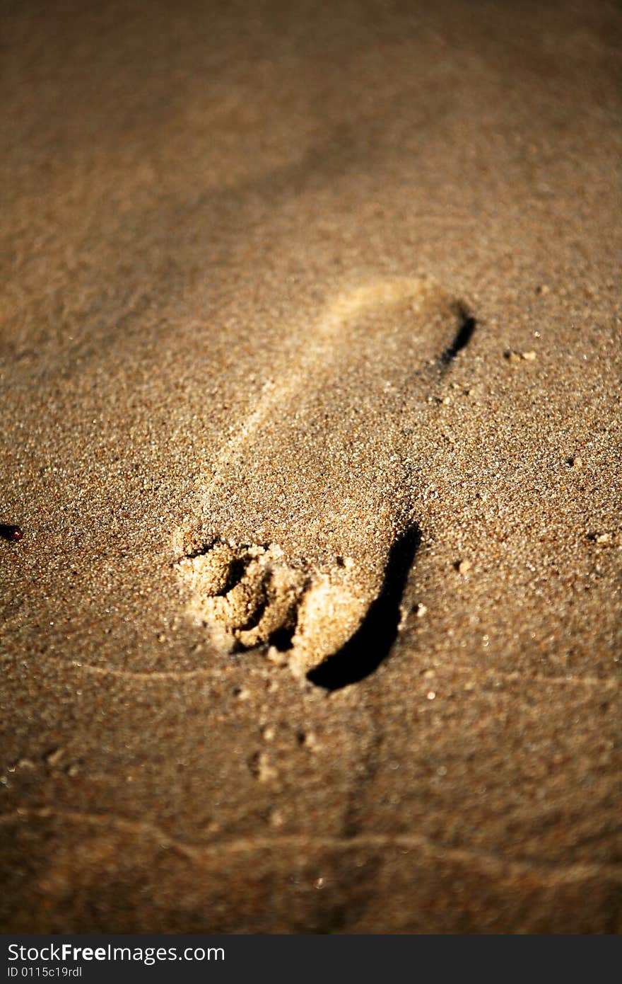 A single footprint in the sand. Looks like it is coming up of the sand