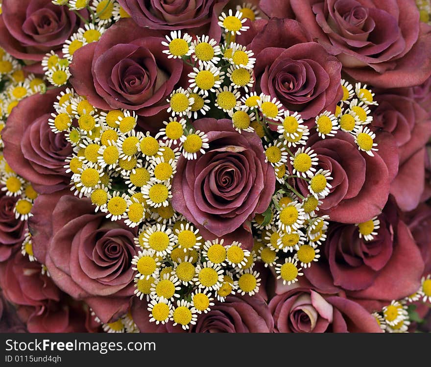 Roses With Small Flowers