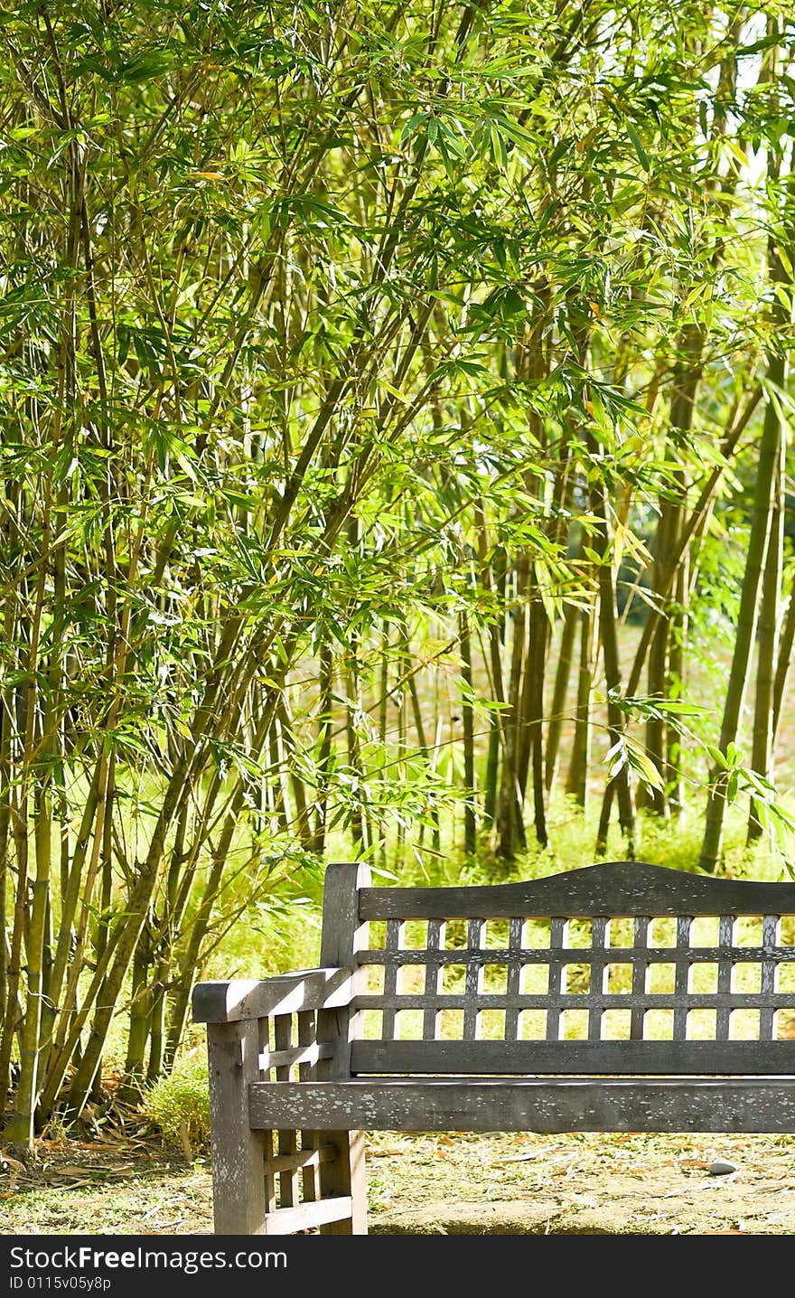 Bench in Bamboo Grove illuminated from the back by the bright hot setting sun