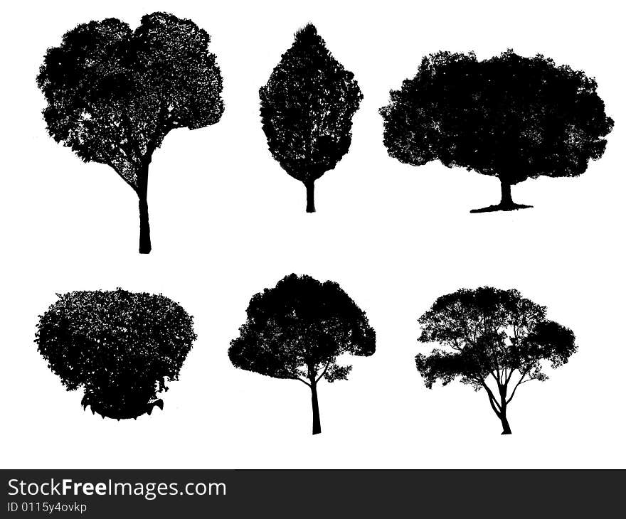 silhouette Trees isolated