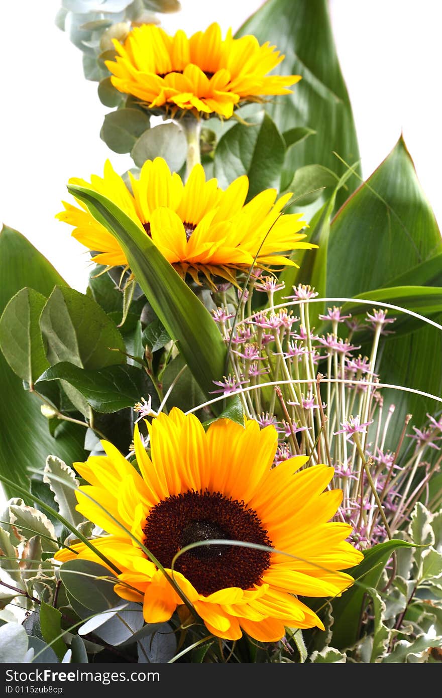 Beautiful bouquet of sunflowers isolated on white