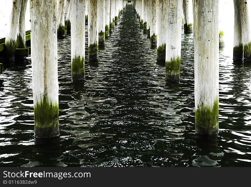 Photo of pier construction over water