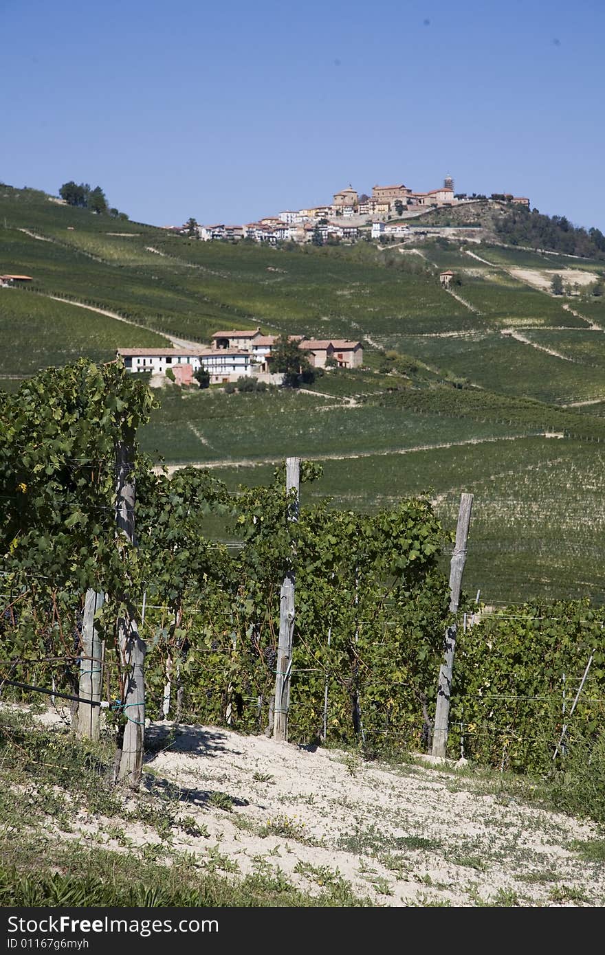 Hillside in Piemonte